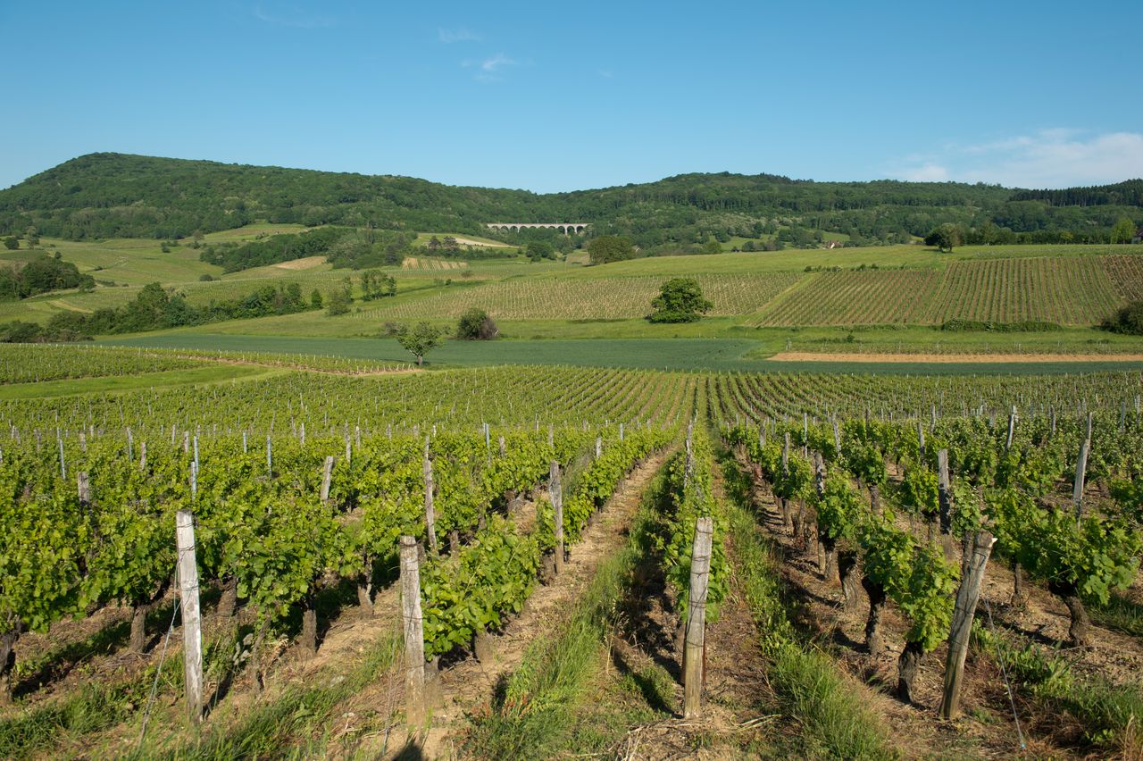 Communes Montigny les Arsures 2336